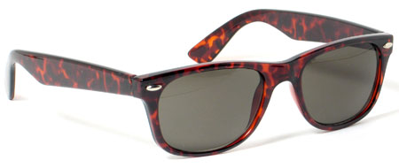 Ray-Ban Style Wayfarer Sunglasses