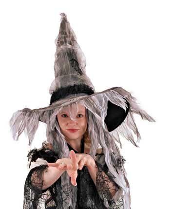 Scary Witch Adult Halloween Costume Withes Hat