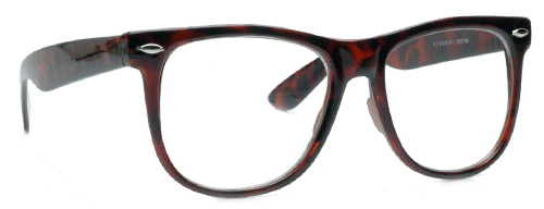 Ray-Ban Clear Lens Inspired Wayfarer Sunglasses
